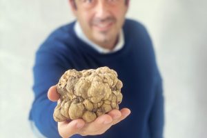 Non solo Alba, sull’Appennino Bolognese un Tuber Magnum Pico da 530 grammi