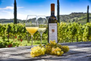 L’Italia dei vini bianchi al top a Los Angeles: Venica & Venica il brand più presente nei ristoranti
