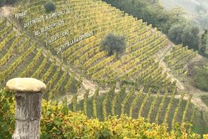 Scelte diverse: nel progetto Es-Camo-Tage la versione secca e ferma del Moscato d’Asti