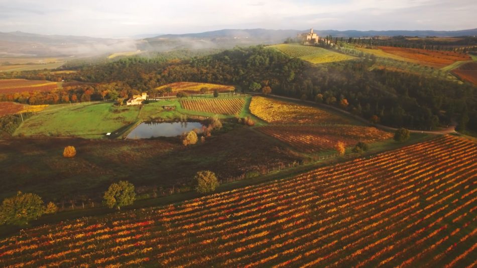 I vigneti del Brunello di Montalcino