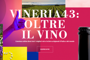 Dallo sforzo congiunto di undici produttori, guidati da Schenk Italian Wineries, nasce Vineria43 Dallo sforzo congiunto di undici produttori, guidati da Schenk Italian Wineries, nasce Vineria43