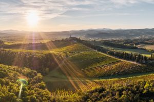 Symbol of Italy and relaunch of Made in Italy in the world: “Banfi Brunello Ambassador Club” is born Symbol of Italy and relaunch of Made in Italy in the world: “Banfi Brunello Ambassador Club” is born