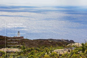 I Vini di WineNews - N. 122