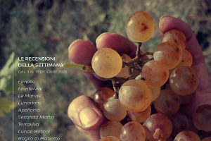 I Vini di WineNews - N. 123