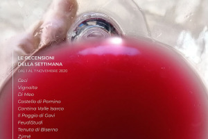 I Vini di WineNews - N. 126