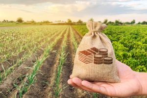 L’agricoltura italiana è leader in Europa, ma le conseguenze della pandemia lasciano il segno L’agricoltura italiana è leader in Europa, ma le conseguenze della pandemia lasciano il segno
