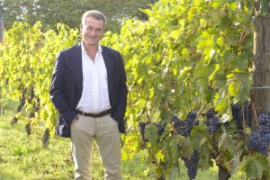Vinous by Antonio Galloni: “Montalcino sta vivendo un rinascimento”. Al top Il Marroneto