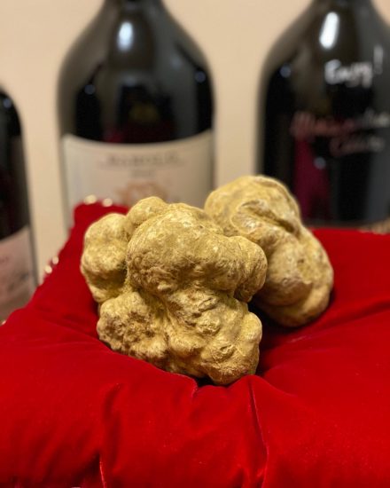 Il Tartufo Bianco d’Alba abbinato ai grandi Barolo e Barbaresco 