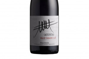 Ayunta, Doc Etna Rosso Navigabile 2018