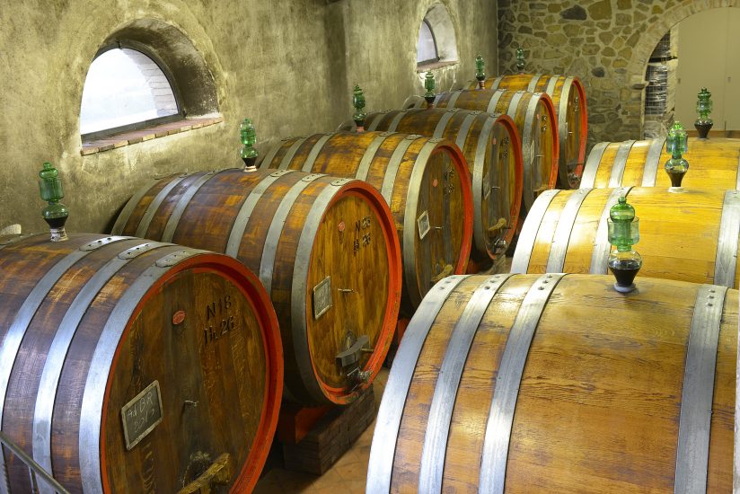 Le botti de Il Marroneto