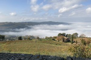 Due grandi annate sui mercati e “gli onori” della critica: il 2021 sarà l’anno del Brunello