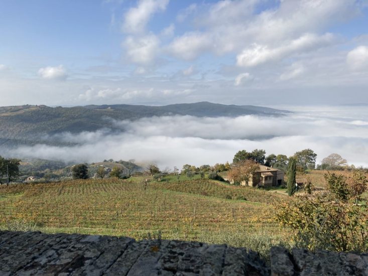 Montalcino e i suoi vigneti di Sangiovese