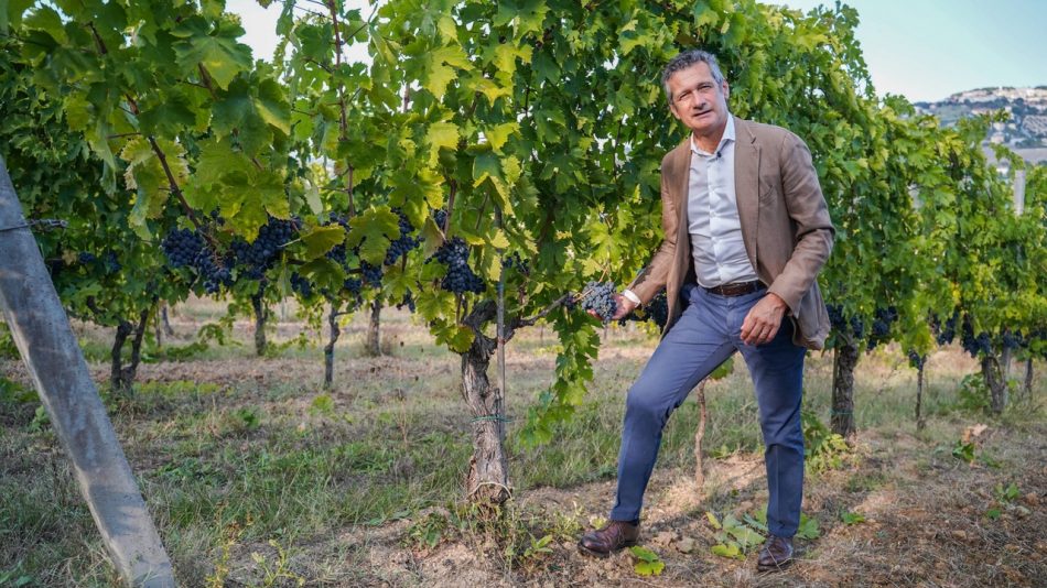Michele Bernetti, alla guida di Umani Ronchi