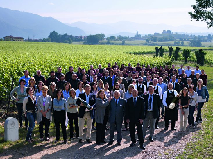 La sostenibilità al centro del futuro di Berlucchi, storia della Franciacorta