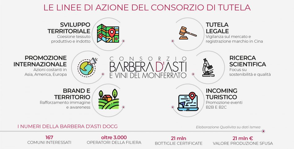 Barbera d’Asti, cresce il valore del vino “pop” del Piemonte: +28% in 5 anni