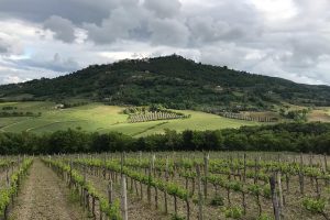 L’importanza di chiamarsi (o meno) Biondi Santi, Quintarelli e Cinelli Colombini