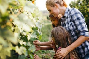 Il Prosecco verso la certificazione di denominazione sostenibile e una nuova governance territoriale