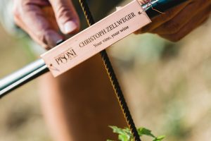 “Talking Vine”, quando la vigna parla con il wine lover, e gli racconta come sta