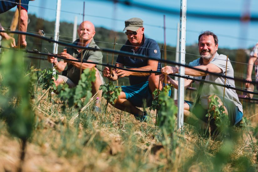 Il progetto Talking Vine