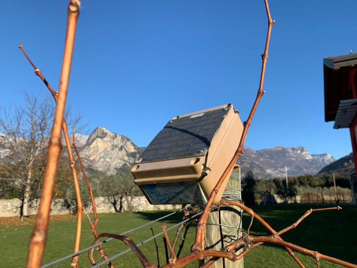 Il progetto Talking Vine