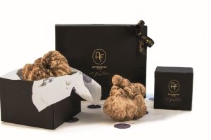 Anche la vendita del tartufo si è trasferita online: si acquista come un gioiello nelle “e-boutique” Anche la vendita del tartufo si è trasferita online: si acquista come un gioiello nelle “e-boutique”