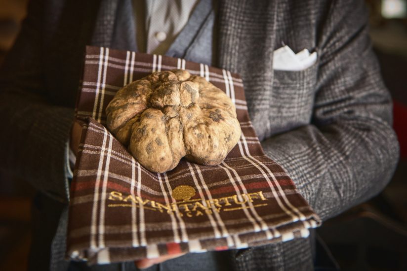 In Toscana la famiglia Savini trova tartufo da 761 grammi