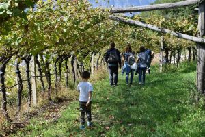 Lo stato dell’arte dell’enoturismo in Italia dopo il lungo stop dettato dalla pandemia