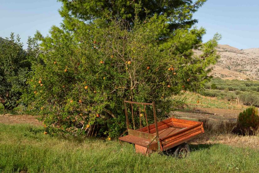 Valdibella, la prima “Comunità del cambiamento” di Slow Food