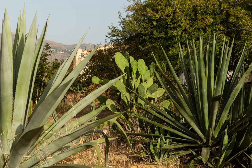 Valdibella, la prima “Comunità del cambiamento” di Slow Food