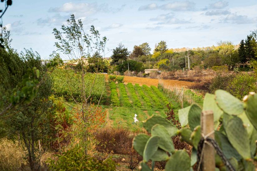 Valdibella, la prima “Comunità del cambiamento” di Slow Food