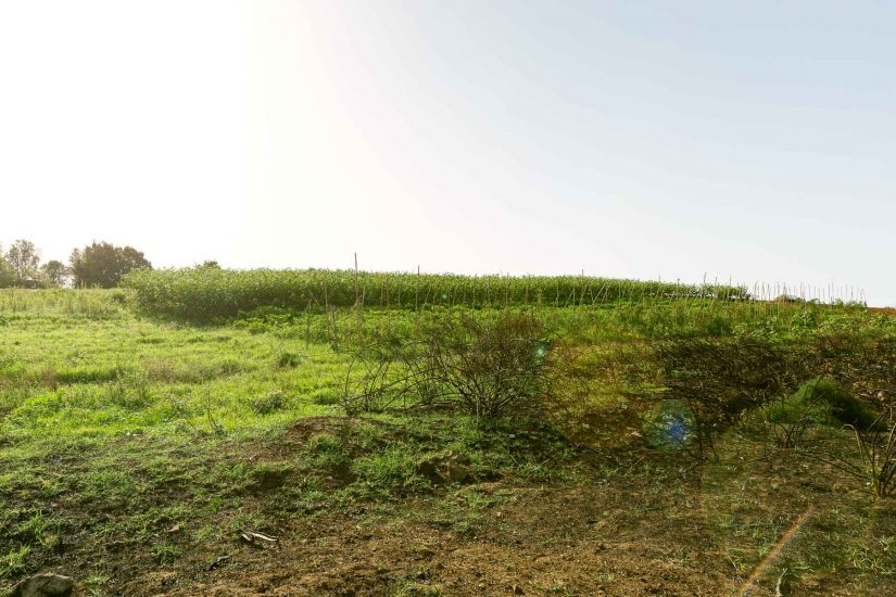 Valdibella, la prima “Comunità del cambiamento” di Slow Food