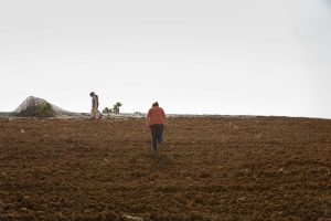 In Sicilia arriva la prima &ldquo;Comunit&agrave; del cambiamento&rdquo; di Slow Food: Valdibella