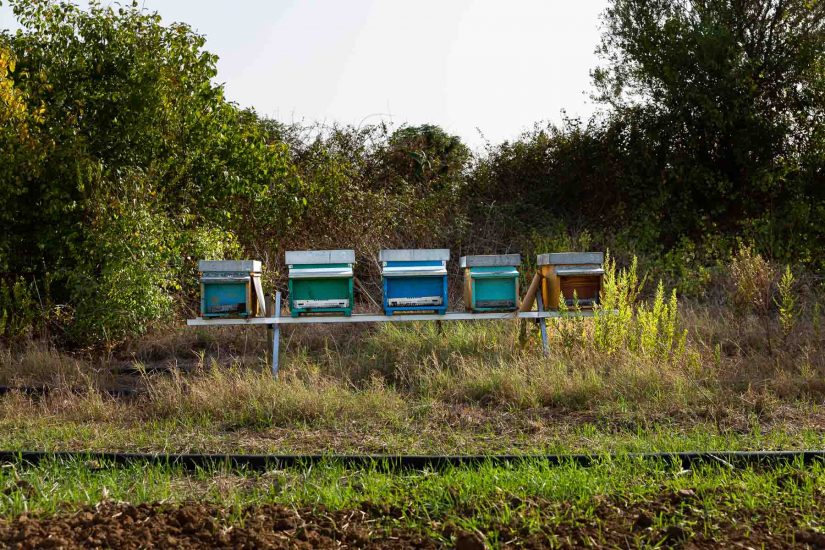 Valdibella, la prima “Comunità del cambiamento” di Slow Food