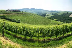 Dalla vigna storica di Grinzane Cavour, a “Cascina Gustava”, un Barolo unico, per fare del bene
