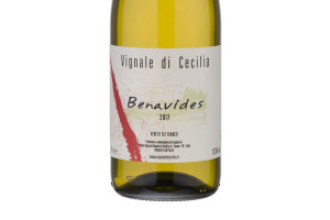 Vignale di Cecilia, Veneto Igt Bianco Benavides 2017