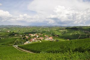 Fine wine, Italia al top per crescita, il Piemonte fa meglio della Borgogna