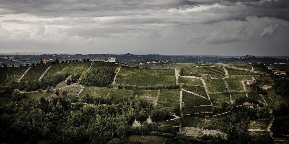 Barbera d’Asti, cresce il valore del vino “pop” del Piemonte: +28% in 5 anni