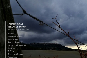 I Vini di WineNews - N. 127