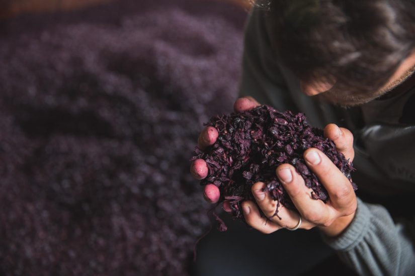 Nel report di AssoDistil, la “svolta green” delle distillerie italiane