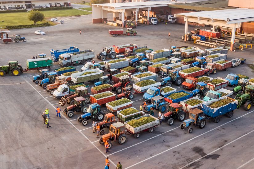 Caviro, crescita record nell’anno del Covid, grazie a Gdo, export e produzione di alcol 