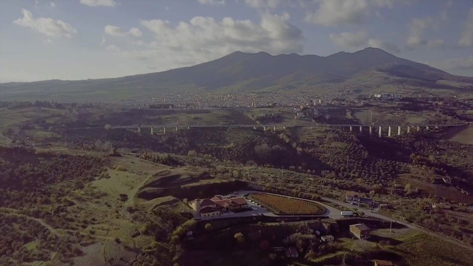 La tenuta Cantine del Notaio