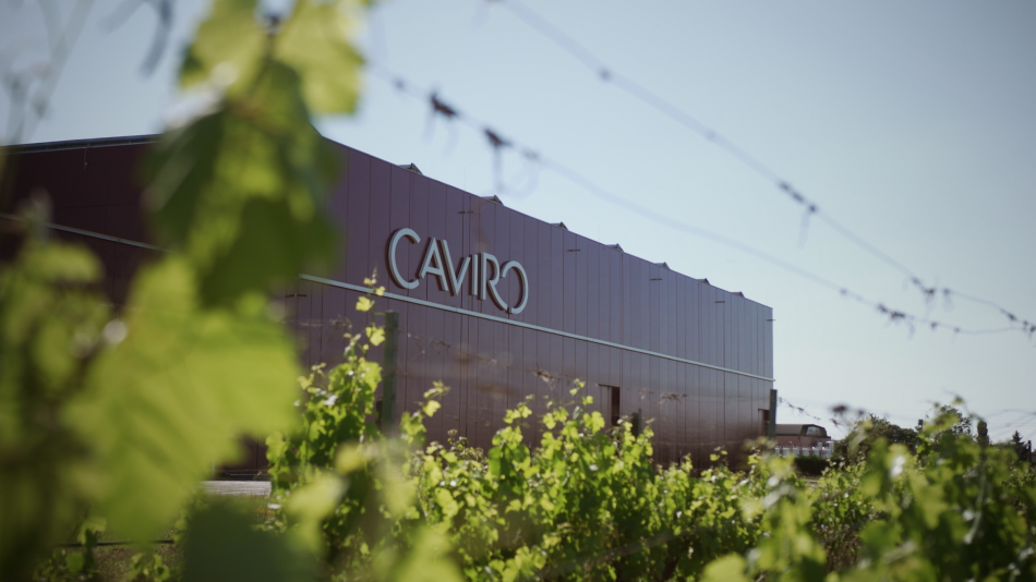 Caviro, crescita record nell’anno del Covid, grazie a Gdo, export e produzione di alcol