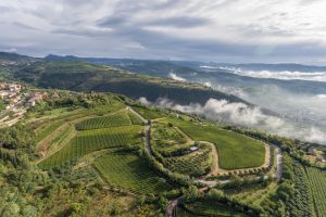 La Valpolicella in un docufilm: “Le Famiglie Storiche - Un racconto sull’Amarone”