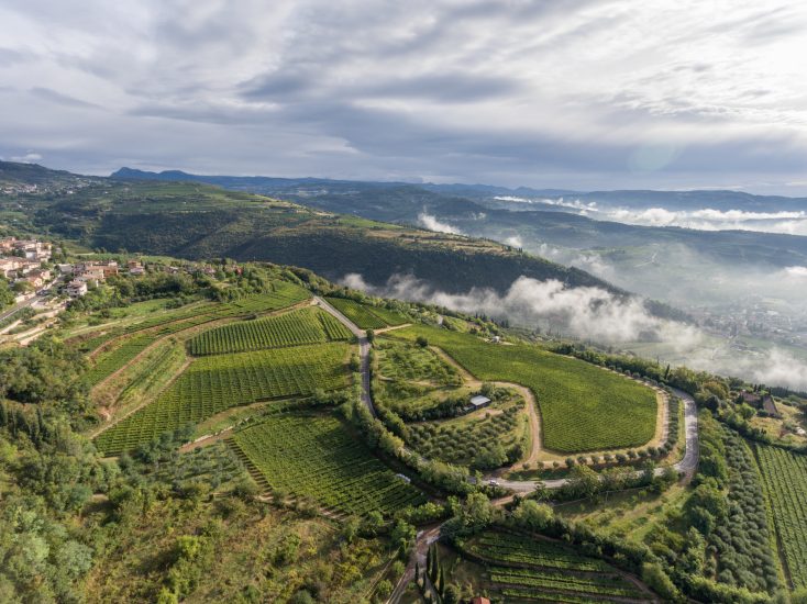 La Valpolicella vista dal vigneto Fieramonte di Allegrini