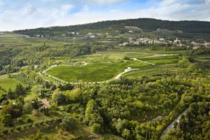 Valpolicella sul tetto del mondo con la griffe Allegrini, al n. 1 per il magazine Uk Decanter