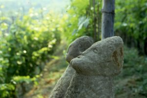 Il rapporto magico tra i contadini e la vigna nei capitesta antropomorfi in Langa