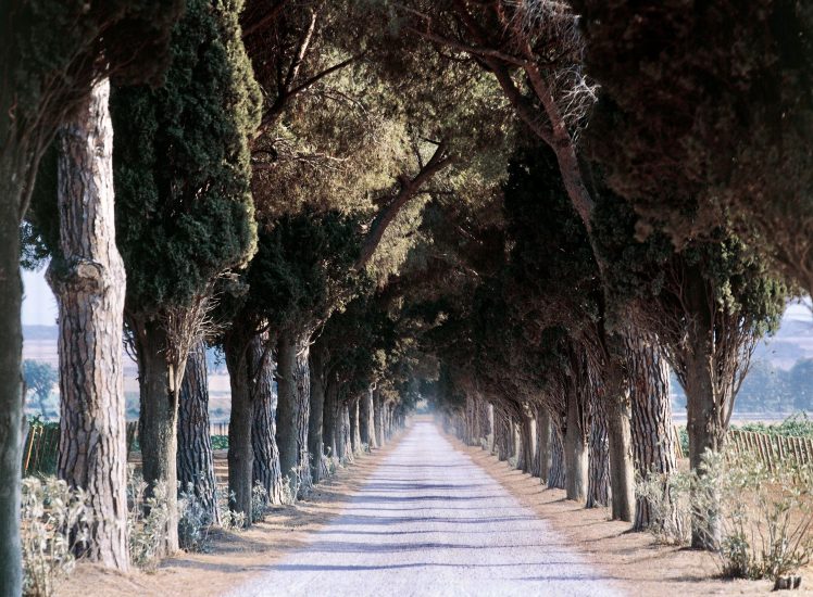 L’Andana di Terra Moretti