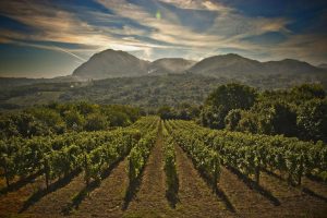 L’Irpinia cambia marcia e avvia un nuovo percorso per costruire un “marchio territoriale” L’Irpinia cambia marcia e avvia un nuovo percorso per costruire un “marchio territoriale”