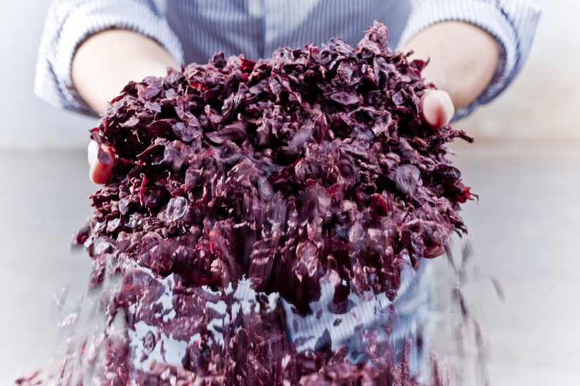 Nel report di AssoDistil, la “svolta green” delle distillerie italiane