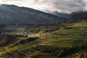 Che cos’è il Trentodoc